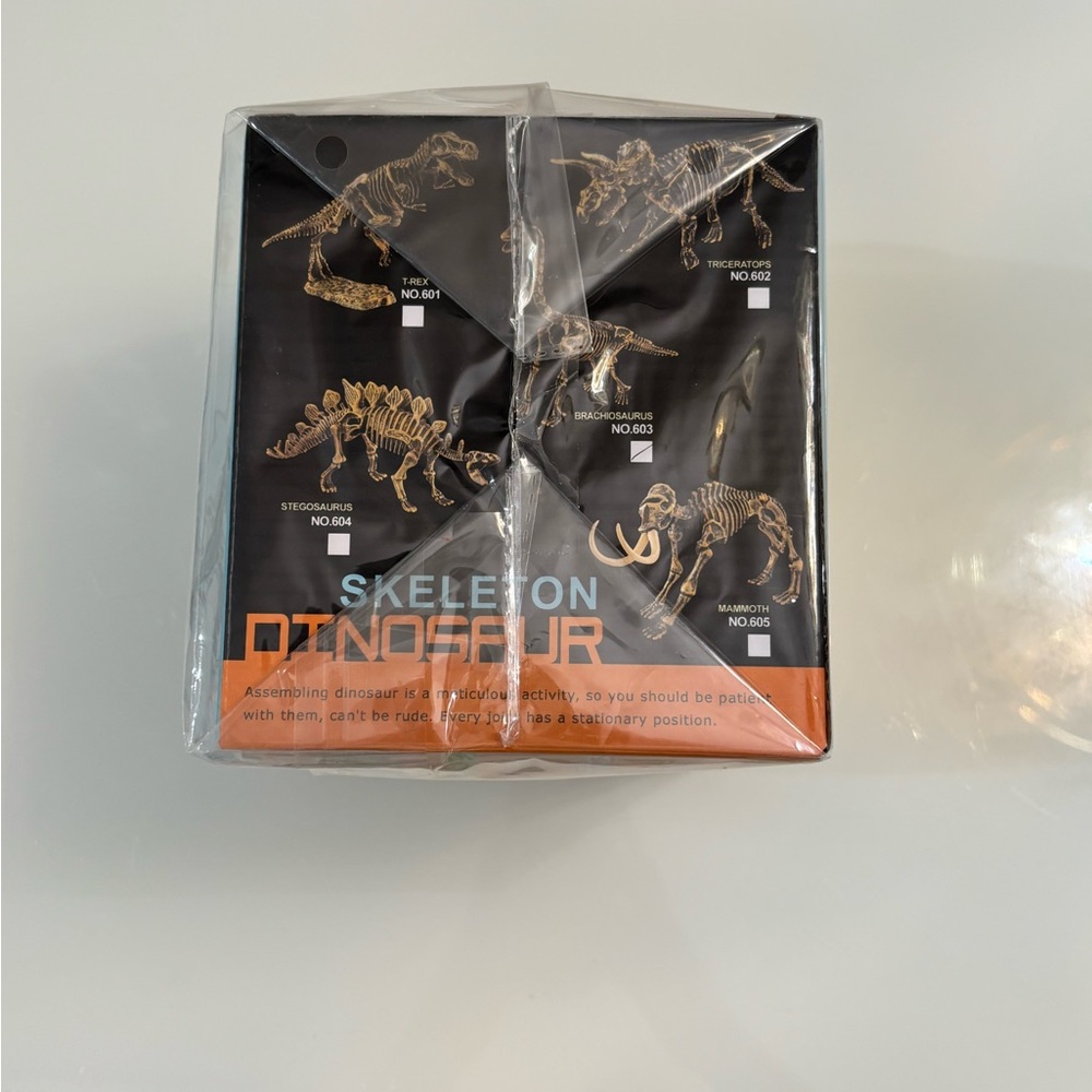 HOT SALE 🔥 5 Skeleton Dinosaur Model Kit